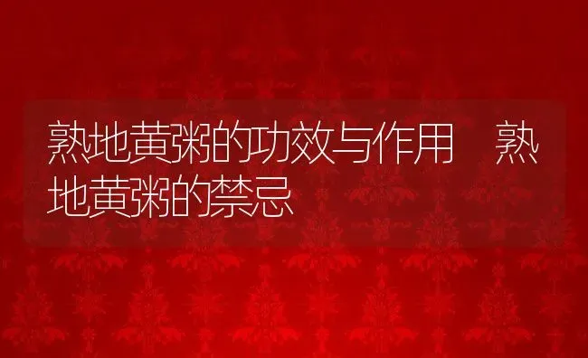 熟地黄粥的功效与作用 熟地黄粥的禁忌 | 养殖资讯