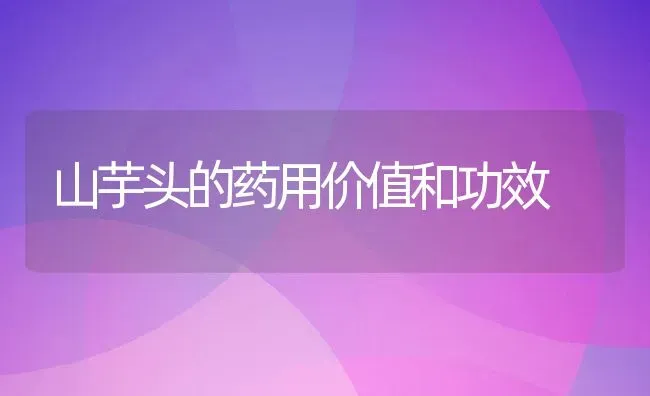 乌枣怎么吃 乌枣的食用方法 | 养殖资料投稿