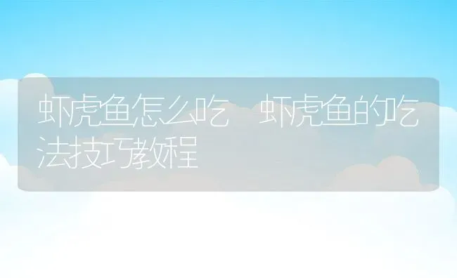虾虎鱼怎么吃 虾虎鱼的吃法技巧教程 | 养殖资料投稿