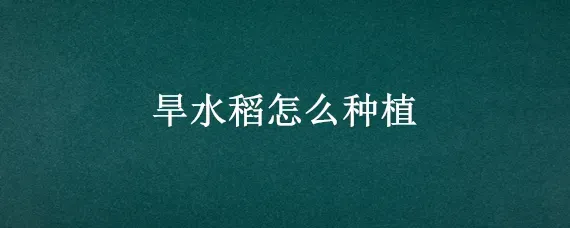 旱水稻怎么种植