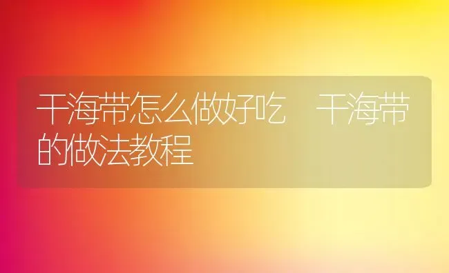干海带怎么做好吃 干海带的做法教程 | 养殖资料投稿