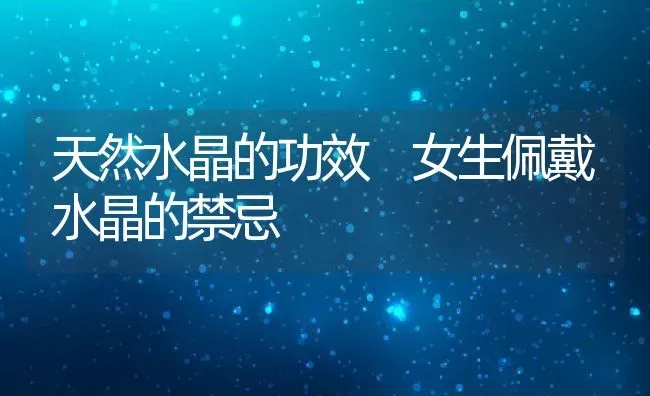 天然水晶的功效 女生佩戴水晶的禁忌 | 养殖资料投稿