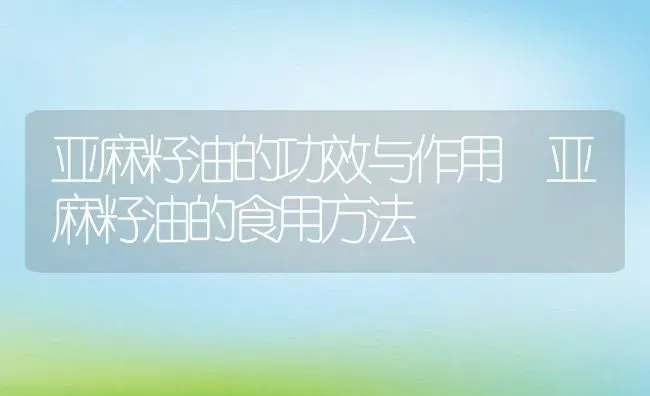 亚麻籽油的功效与作用 亚麻籽油的食用方法 | 养殖资料投稿