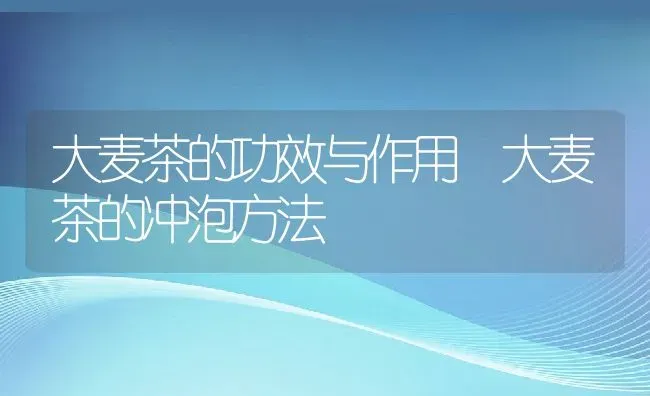 大麦茶的功效与作用 大麦茶的冲泡方法 | 养殖资料投稿