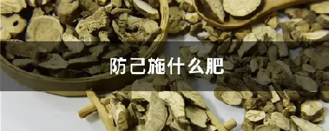 防己施什么肥