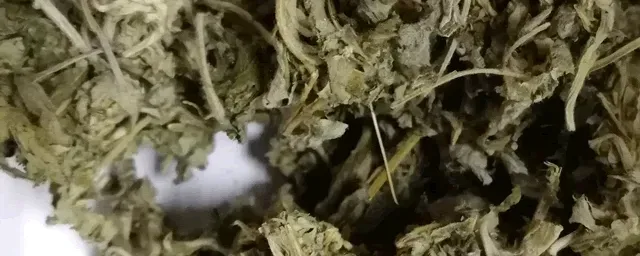 艾叶泡脚有什么好处