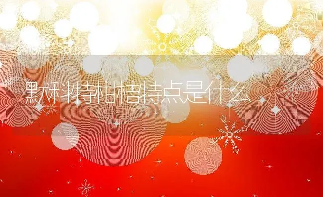 默科特柑桔特点是什么 | 养殖资讯