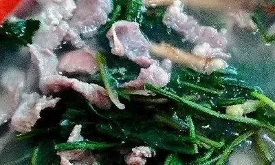 蒲公英瘦肉汤的功效与作用