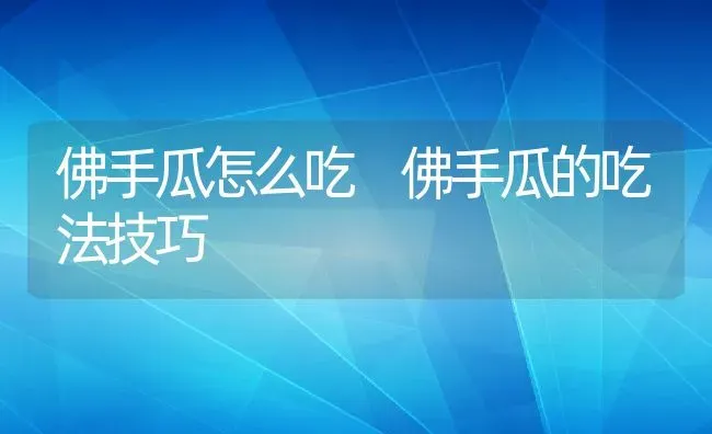 佛手瓜怎么吃 佛手瓜的吃法技巧 | 养殖资料投稿
