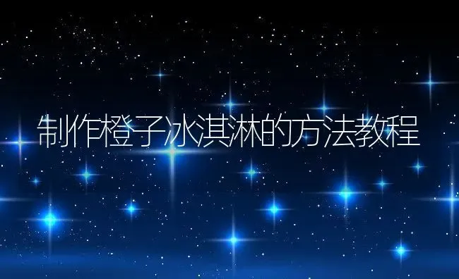 制作橙子冰淇淋的方法教程 | 养殖资料投稿