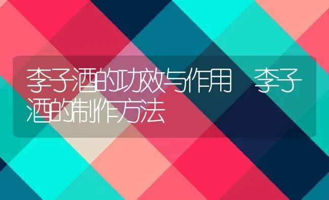 李子酒的功效与作用 李子酒的制作方法 | 养殖资料投稿