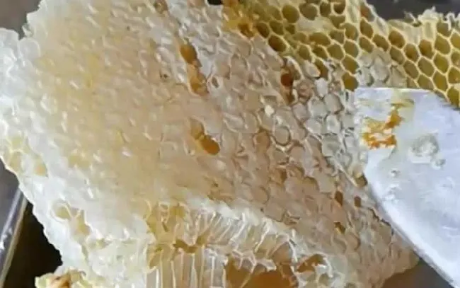 土蜂蜜的十大功效与作用