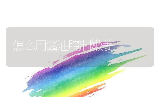 怎么用酱油腌制嫩姜 | 养殖资料投稿