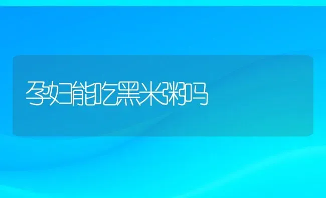 孕妇能吃黑米粥吗 | 养殖资讯