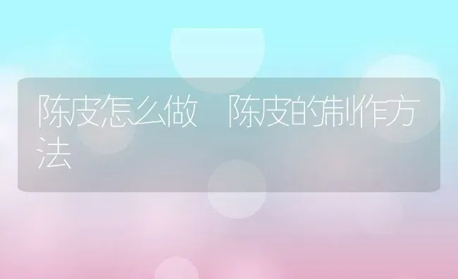 陈皮怎么做 陈皮的制作方法 | 养殖资料投稿