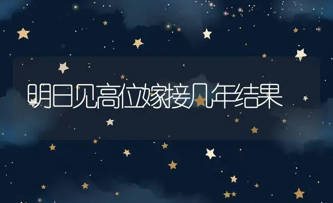 明日见高位嫁接几年结果 | 养殖资讯