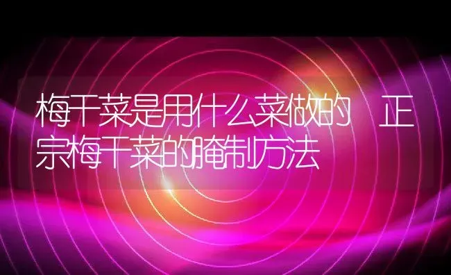 梅干菜是用什么菜做的 正宗梅干菜的腌制方法 | 养殖资料投稿