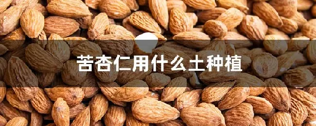 苦杏仁用什么土种植