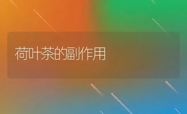 荷叶茶的副作用 | 养殖资料投稿