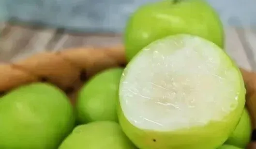 牛奶枣的功效与作用