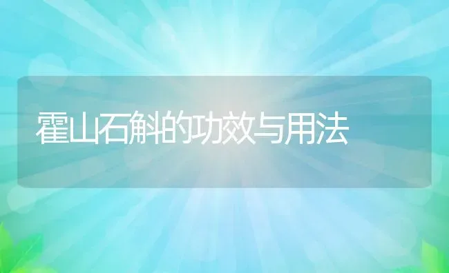 霍山石斛的功效与用法 | 养殖资料投稿