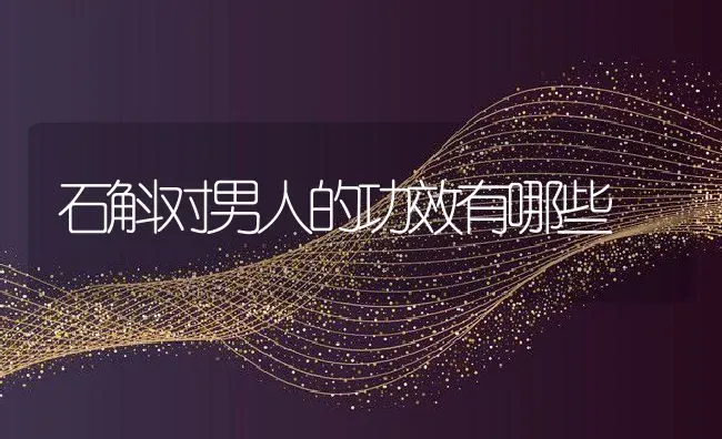 石斛对男人的功效有哪些 | 养殖资料投稿