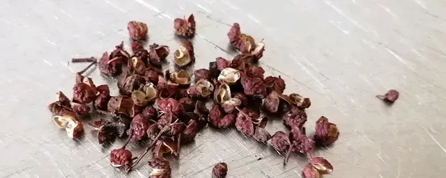 花椒种植每亩利润