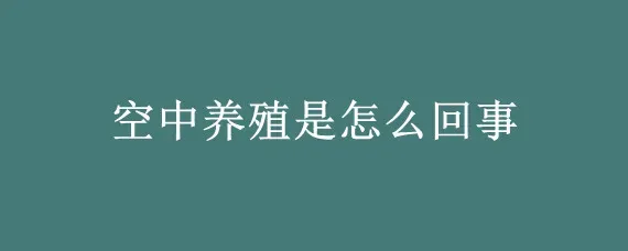 空中养殖是怎么回事