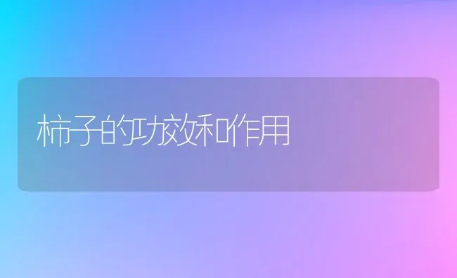 柿子的功效和作用 | 养殖资料投稿