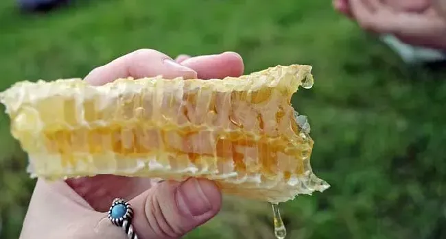 月经期喝蜂蜜水有什么好处？