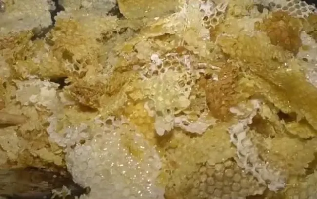 土蜂蜜的十大功效与作用
