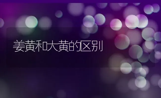 姜黄和大黄的区别 | 养殖资料投稿