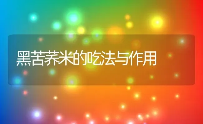 黑苦荞米的吃法与作用 | 养殖资讯