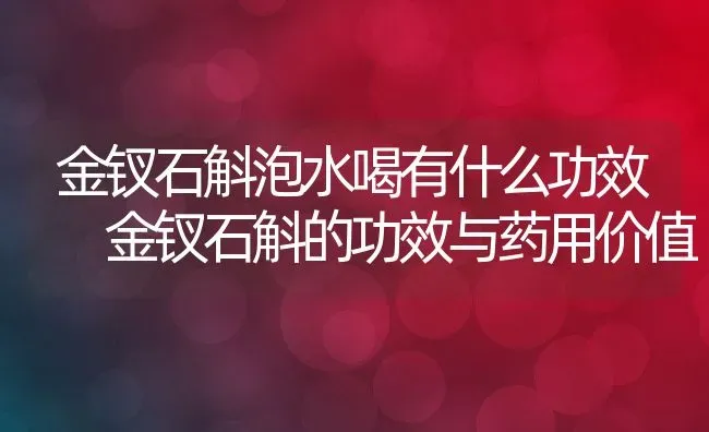 金钗石斛泡水喝有什么功效 金钗石斛的功效与药用价值 | 养殖资料投稿