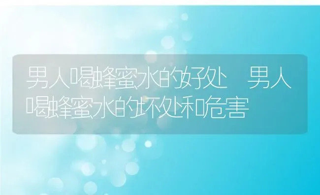 男人喝蜂蜜水的好处 男人喝蜂蜜水的坏处和危害 | 养殖资料投稿