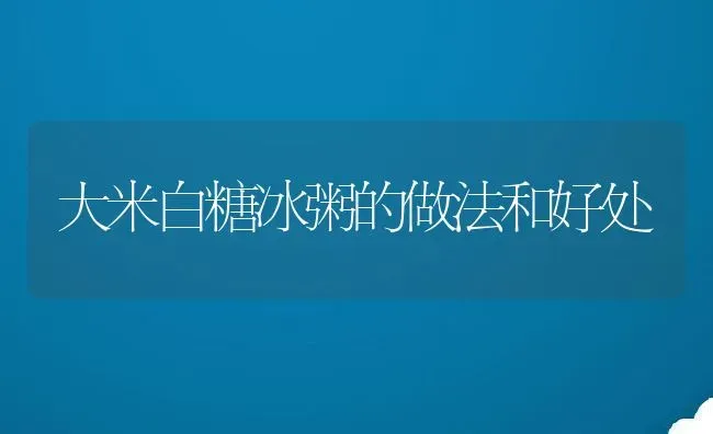 大米白糖冰粥的做法和好处 | 养殖资讯