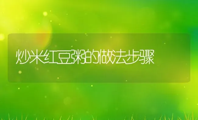 炒米红豆粥的做法步骤 | 养殖资料投稿