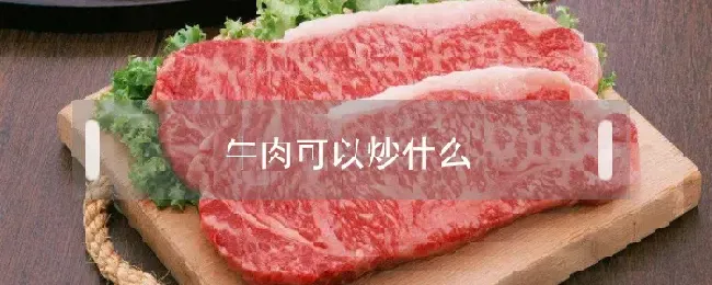 牛肉可以炒什么