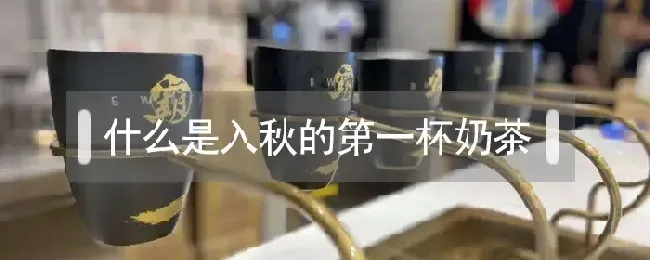 什么是入秋的第一杯奶茶