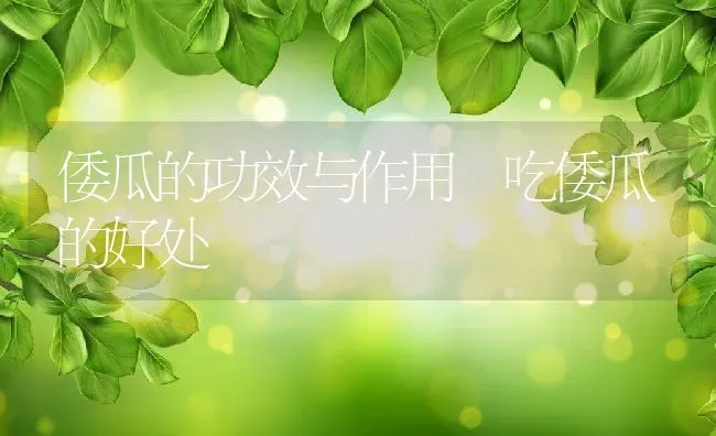 倭瓜的功效与作用 吃倭瓜的好处 | 养殖资料投稿