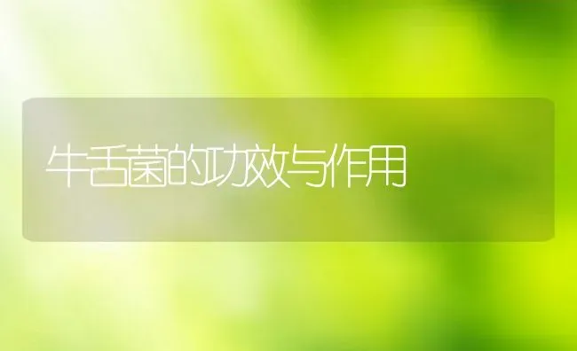 生酸梅子的功效与作用 | 养殖资料投稿