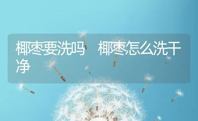 椰枣要洗吗 椰枣怎么洗干净 | 养殖资料投稿