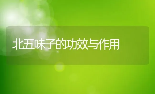 北五味子的功效与作用 | 养殖资料投稿