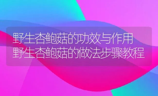 野生杏鲍菇的功效与作用 野生杏鲍菇的做法步骤教程 | 养殖资料投稿