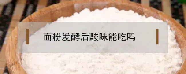 面粉发酵后酸味能吃吗