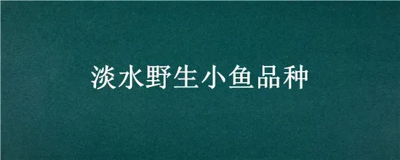 淡水野生小鱼品种