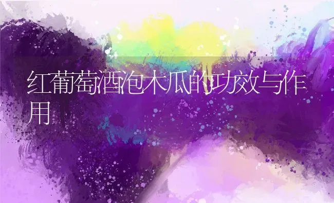 红葡萄酒泡木瓜的功效与作用 | 养殖资料投稿