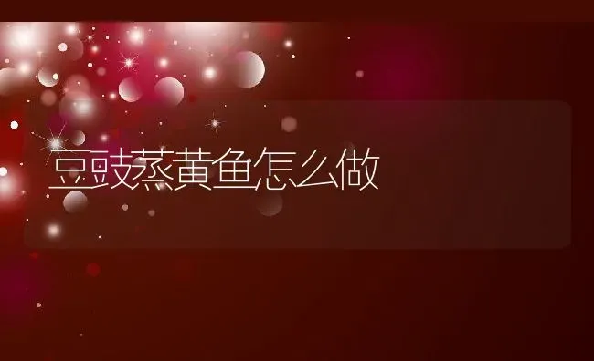 豆豉蒸黄鱼怎么做 | 养殖资讯