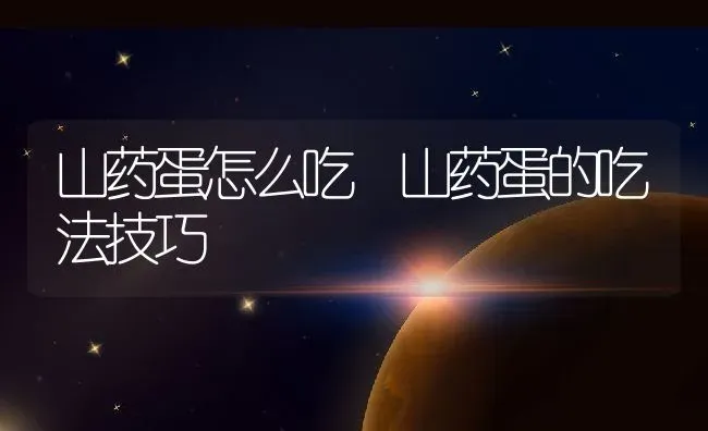 山药蛋怎么吃 山药蛋的吃法技巧 | 养殖资料投稿