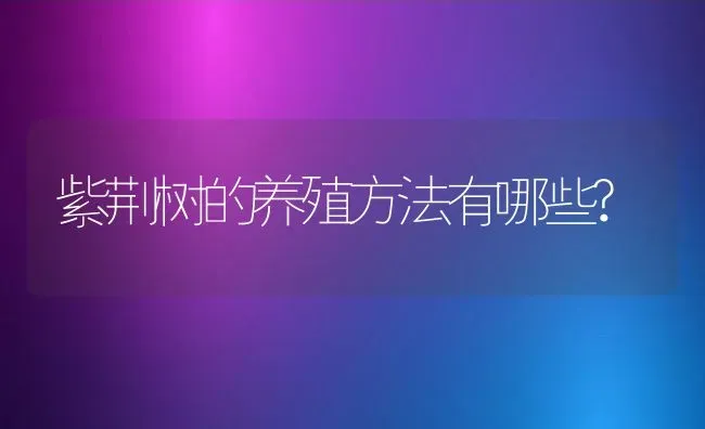 紫荆树的养殖方法有哪些? | 养殖资讯